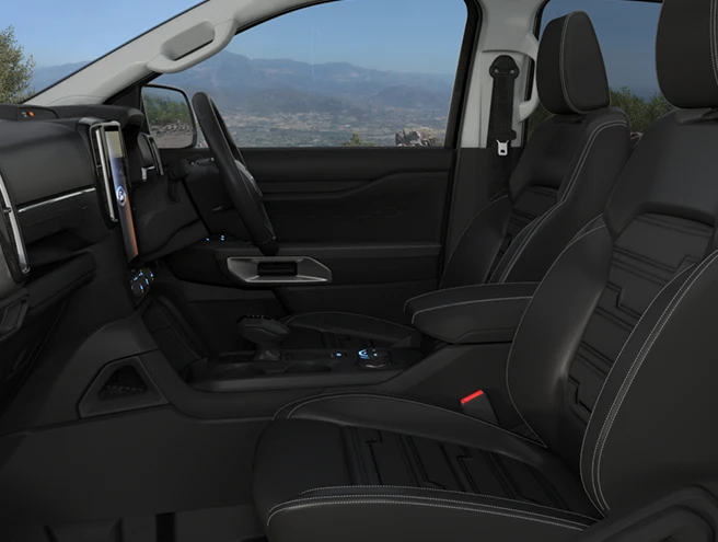 Ebony interior finish