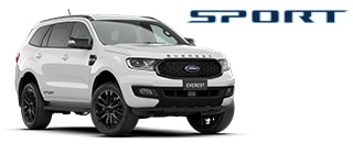 Sport MY2020.25